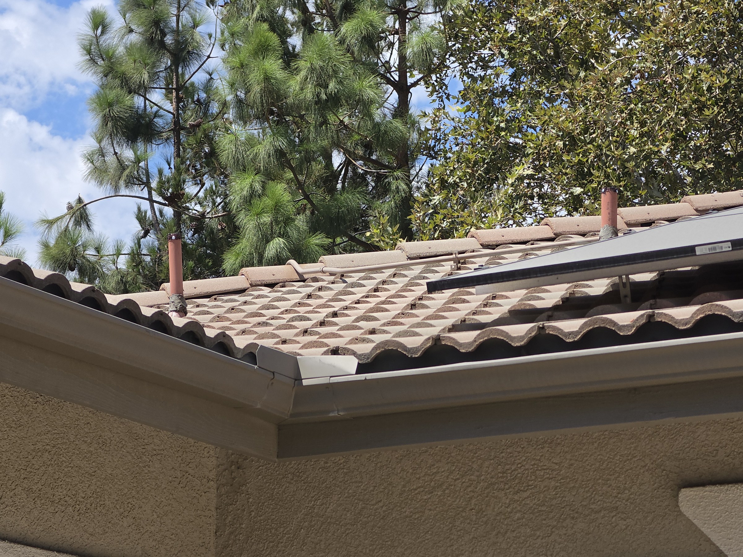 Roofline with screened plumbing vents following rodent exclusion service