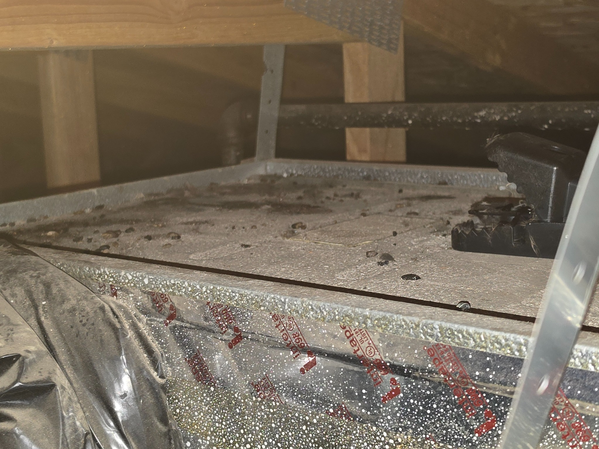 Rodent droppings found during an attic inspection