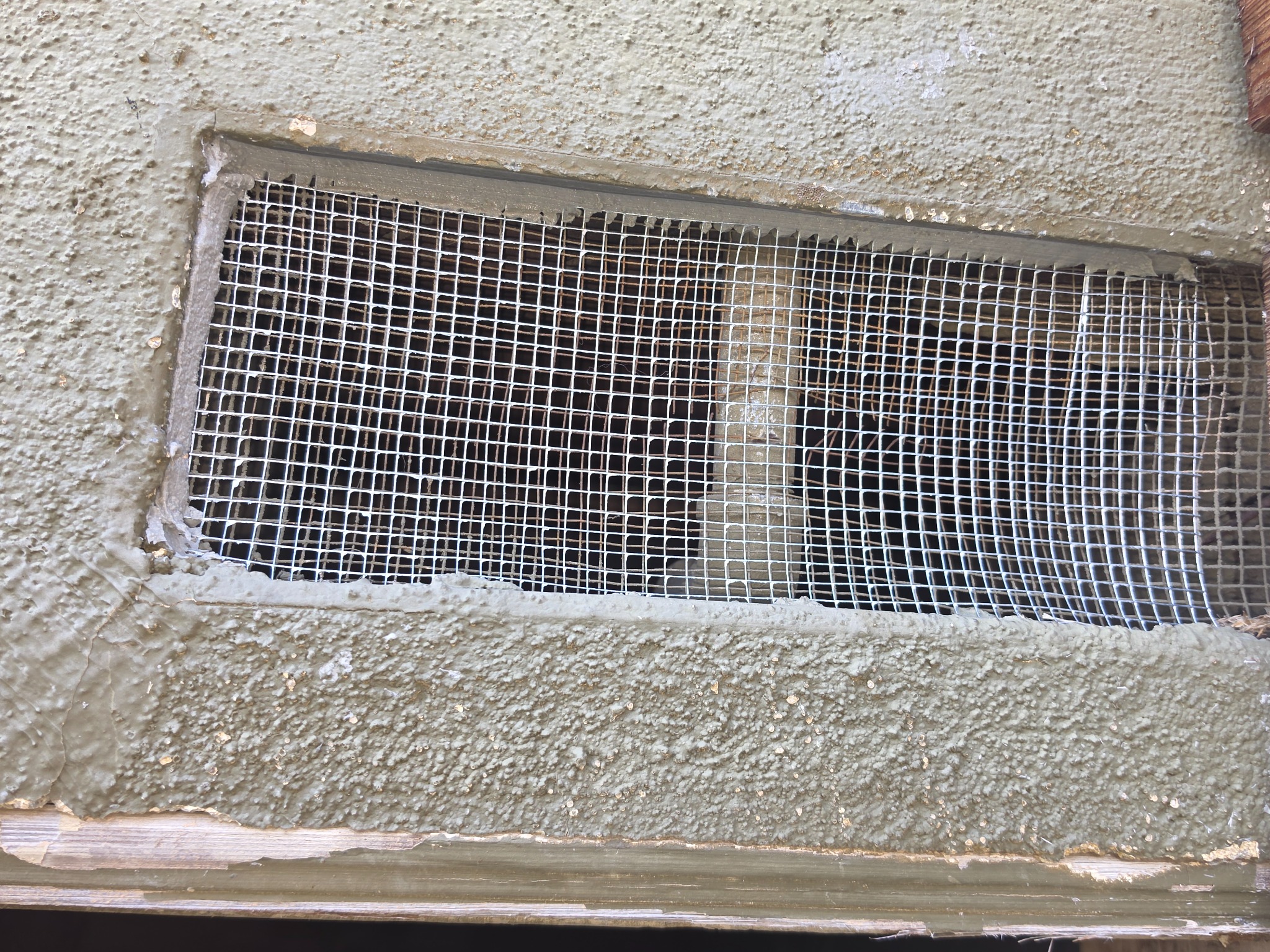 Vent opening covered with rodent exclusion mesh
